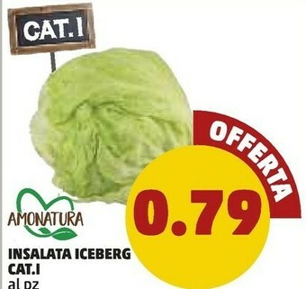 PENNY Amonatura Insalata Iceberg offerta
