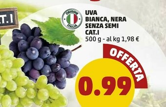 PENNY Uva Bianca,nera Senza Semi offerta