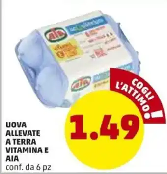 PENNY Aia Uova Allevate A Terra Vitamina E 6pz offerta