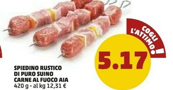 PENNY Aia Spiedini Rustico Di Puro Suino Carne Al Fuoco offerta
