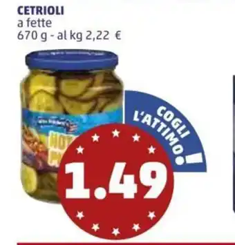 PENNY Cetrioli 670g offerta