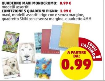 PENNY Quaderno Maxi Monocromo offerta