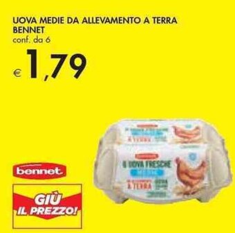 Bennet UOVA MEDIE DA ALLEVAMENTO A TERRA BENNET conf. da 6 offerta
