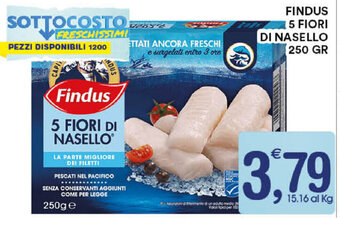 Gecop Findus 5 Fiori di Nasello 250gr offerta