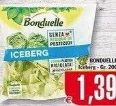 Bonduelle iceberg