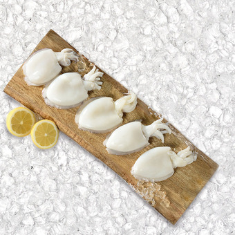 Sapore di Mare Seppia piccola offerta
