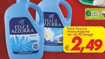 Iper Super Conveniente Felce azzurra ammorbidente offerta