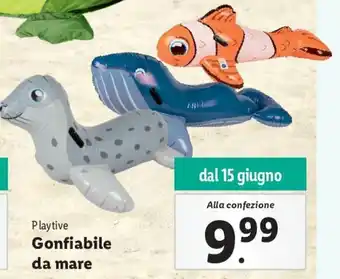 Play tive Gonfiabile da mare