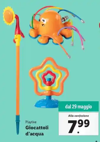 Lidl Giocattoli d'acqua offerta