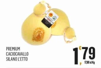 PREMIUM CACIOCAVALLO SILANO L'ETTO