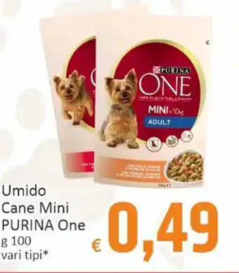 Umido Cane Mini PURINA One g 100