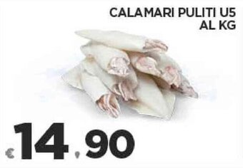Deco Supermercati CALAMARI PULITI U5 offerta