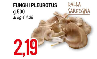 FUNGHI PLEUROTUS g.500