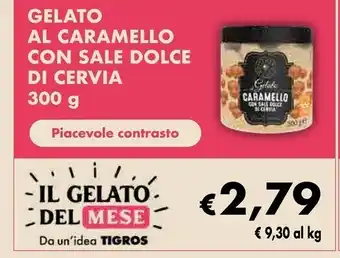 Tigros Ital gelato - gelato al caramello con sale dolce di cervia offerta