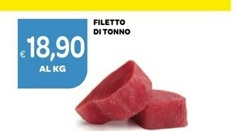 Ekom Filetto Di Tonno offerta