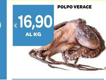 Ekom Polpo Verace offerta