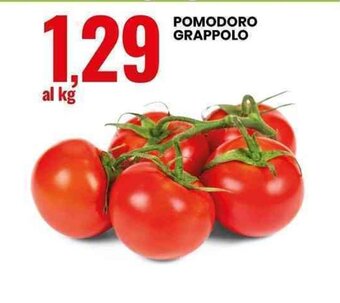 POMODORO GRAPPOLO