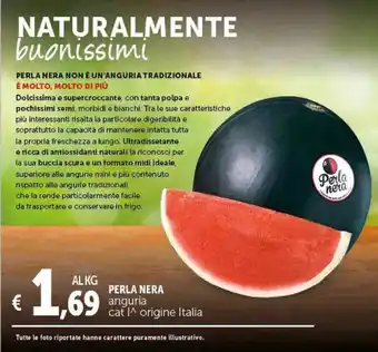 Deco Supermercati Perla nera offerta