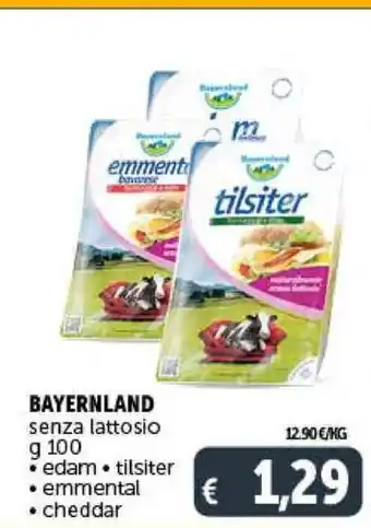 Deco Supermercati BAYERNLAND senza lattosio g 100 offerta
