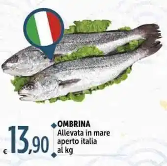 Carrefour Market OMBRINA Allevata in mare aperto italia al kg offerta