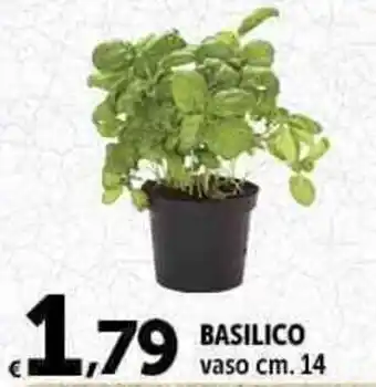 Carrefour Market BASILICO vaso cm. 14 offerta