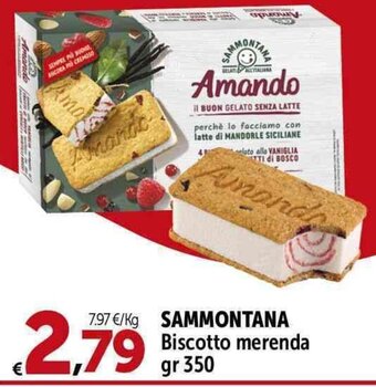 Carrefour Market SAMMONTANA Biscotto merenda gr 350 offerta