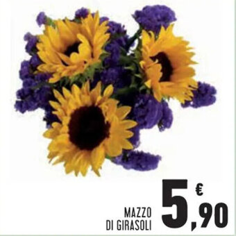 MAZZO DI GIRASOLI