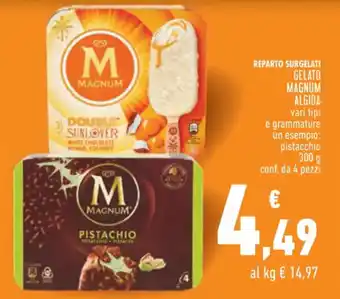 Conad GELATO MAGNUM ALGIDA 300 g offerta