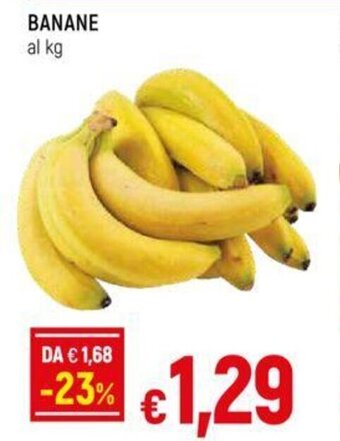 Galassia BANANE offerta
