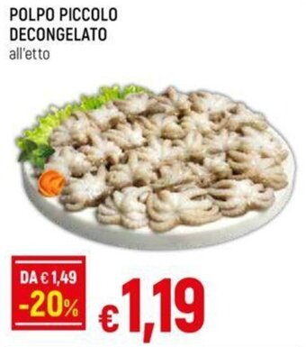 POLPO PICCOLO DECONGELATO