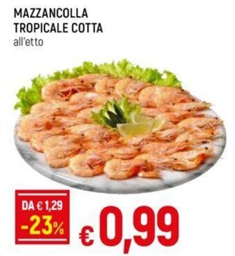 Galassia MAZZANCOLLA TROPICALE COTTA offerta