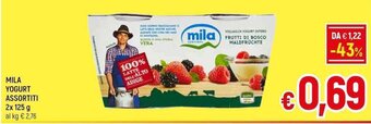 A&O MILA YOGURT ASSORTITI 2x 125 g offerta