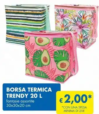 Borsa termica trendy 20 l