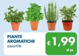 MD Discount Piante aromatiche offerta