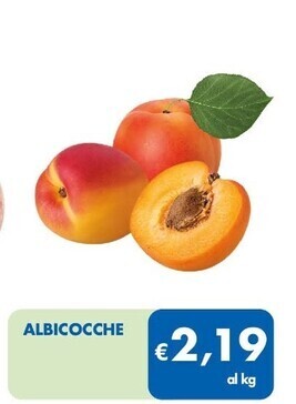 Albicocche
