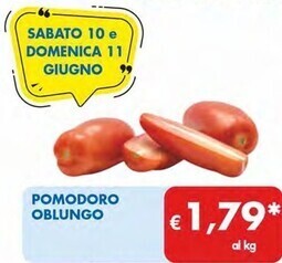 MD Discount Pomodoro oblungo offerta