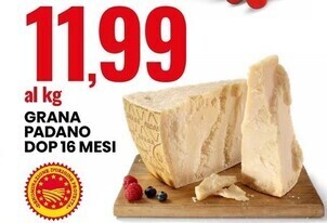 Grana padano dop 16 mesi
