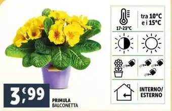 PENNY Gimoka caffè in grani offerta