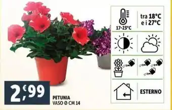 PENNY Pannolini bebelino offerta