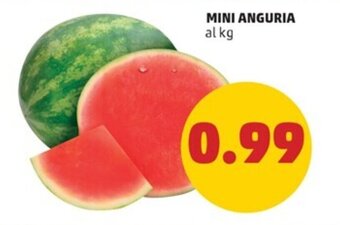 PENNY MINI ANGURIA offerta
