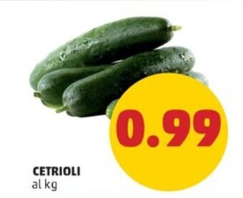 PENNY CETRIOLI offerta