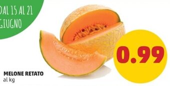 PENNY MELONE RETATO offerta