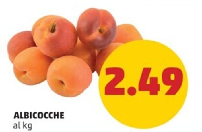PENNY ALBICOCCHE offerta