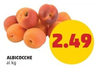 PENNY ALBICOCCHE offerta