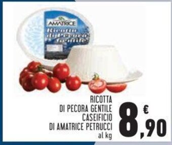 Conad RICOTTA DI PECORA GENTILE CASEIFICIO DI AMATRICE PETRUCCI al kg offerta