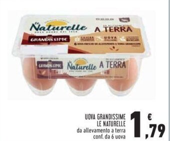 UOVA GRANDISSIME LE NATURELLE da allevamento a terra conf. da 6 uova