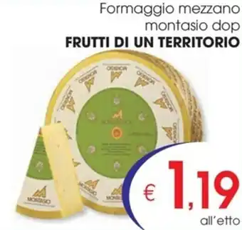 Formaggio mezzano montasio dop FRUTTI DI UN TERRITORIO