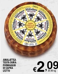 Sigma Amalattea testa dura formaggio di capra offerta