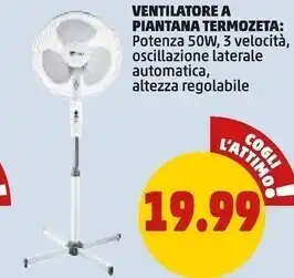 Termozeta ventilatore a piantana
