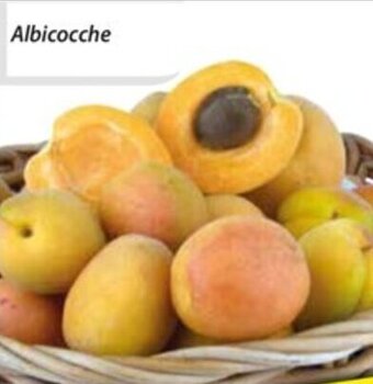 Albicocche